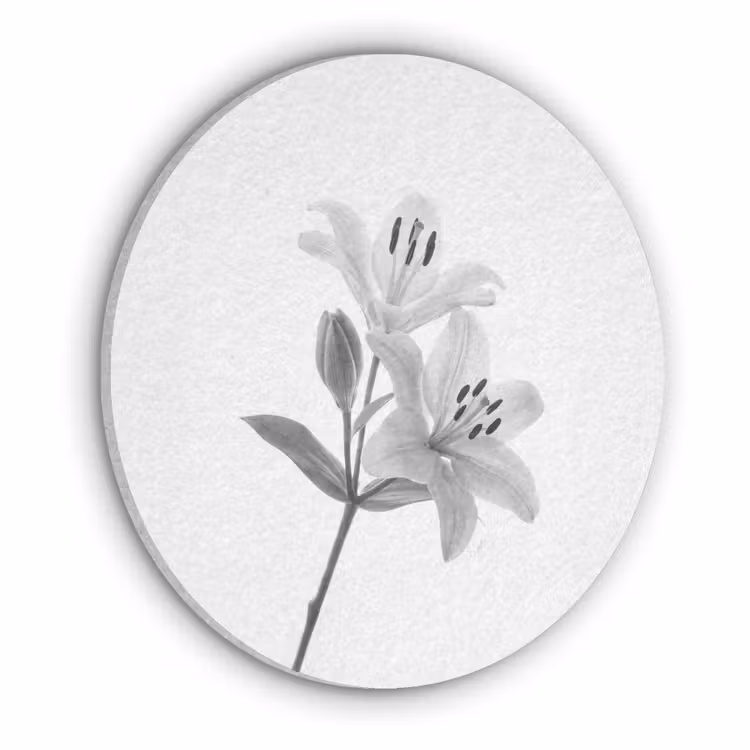 Lelies - Elegant - Zwart - Wit Akoestische PET Vilt - Rond klein -3d