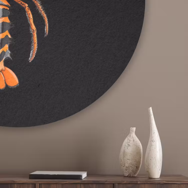 Kreeft - Oranje - Zwart - Modern Akoestische PET Vilt - Rond klein -sfeer5_closeup