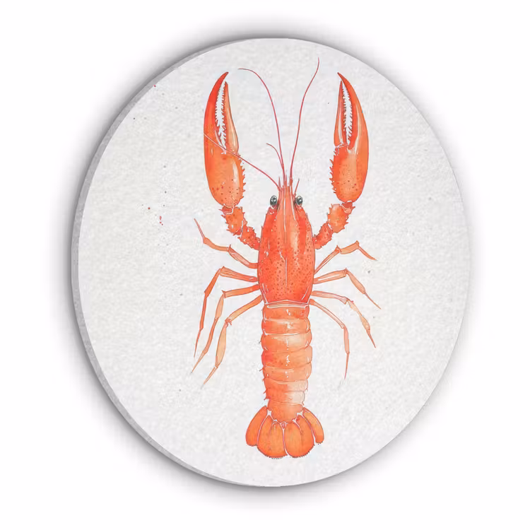 Kreeft - Waterverf - Aquarel - Oranje Akoestische PET Vilt - Rond klein -3d