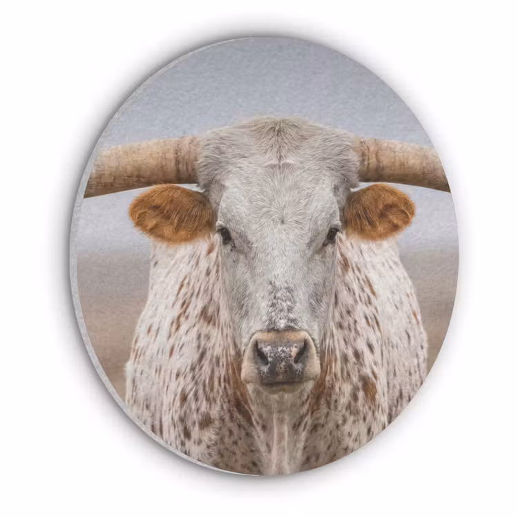 Longhorn - Grasveld - Dier Akoestische PET Vilt - Rond klein -3d