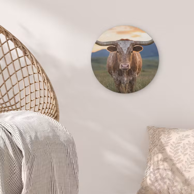 Longhorn - Landschap - Zonsondergang Akoestische PET Vilt - Rond klein -sfeer4