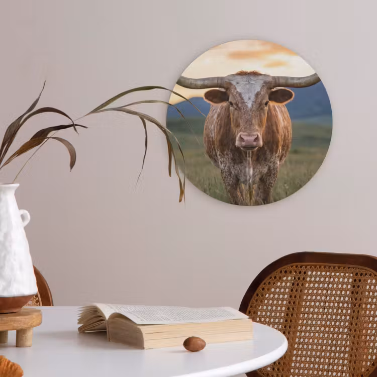 Longhorn - Landschap - Zonsondergang Akoestische PET Vilt - Rond klein -sfeer3