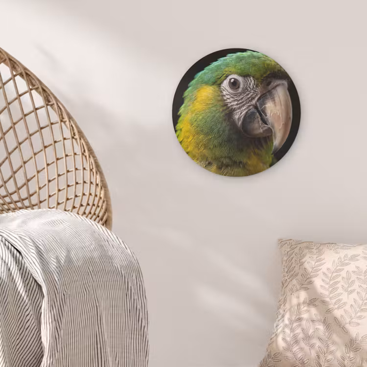 Ara - Portret - Groen Akoestische PET Vilt - Rond klein -sfeer4