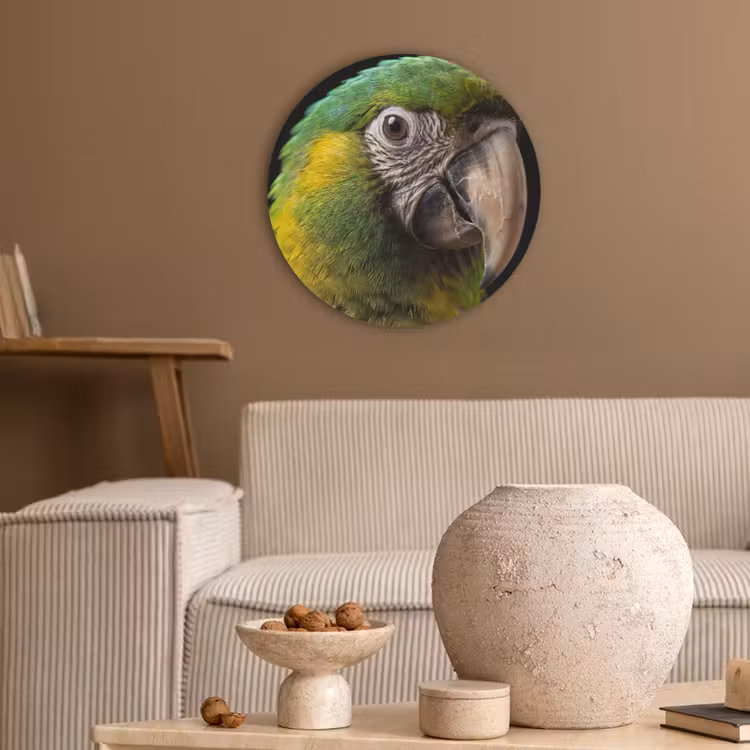Ara - Portret - Groen Akoestische PET Vilt - Rond klein -sfeer1