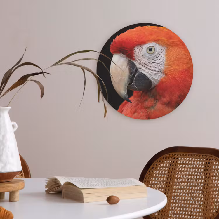 Ara - Portret - Rood Akoestische PET Vilt - Rond klein -sfeer3