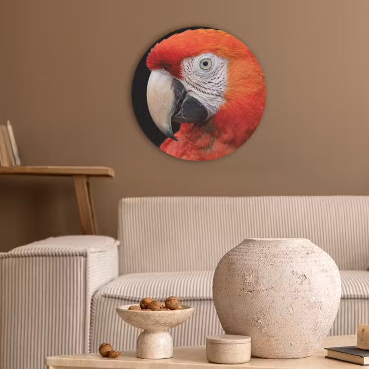 Ara - Portret - Rood Akoestische PET Vilt - Rond klein -sfeer1