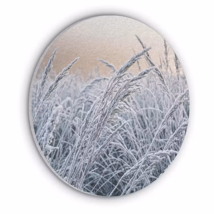 Rijp - Gras - Kristallen - Winter - Minimalistisch Akoestische PET Vilt - Rond klein -3d