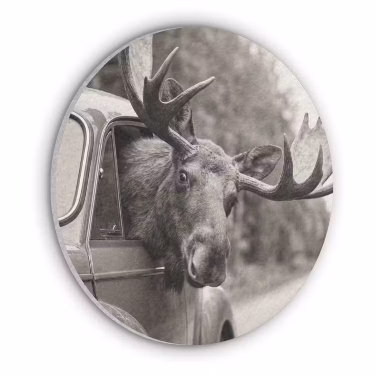 Eland - Auto - Gewei - Zwart - Wit Akoestische PET Vilt - Rond klein -3d