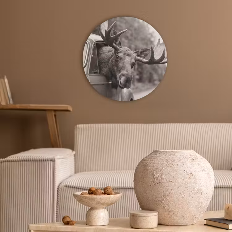 Eland - Auto - Gewei - Zwart - Wit Akoestische PET Vilt - Rond klein -sfeer1