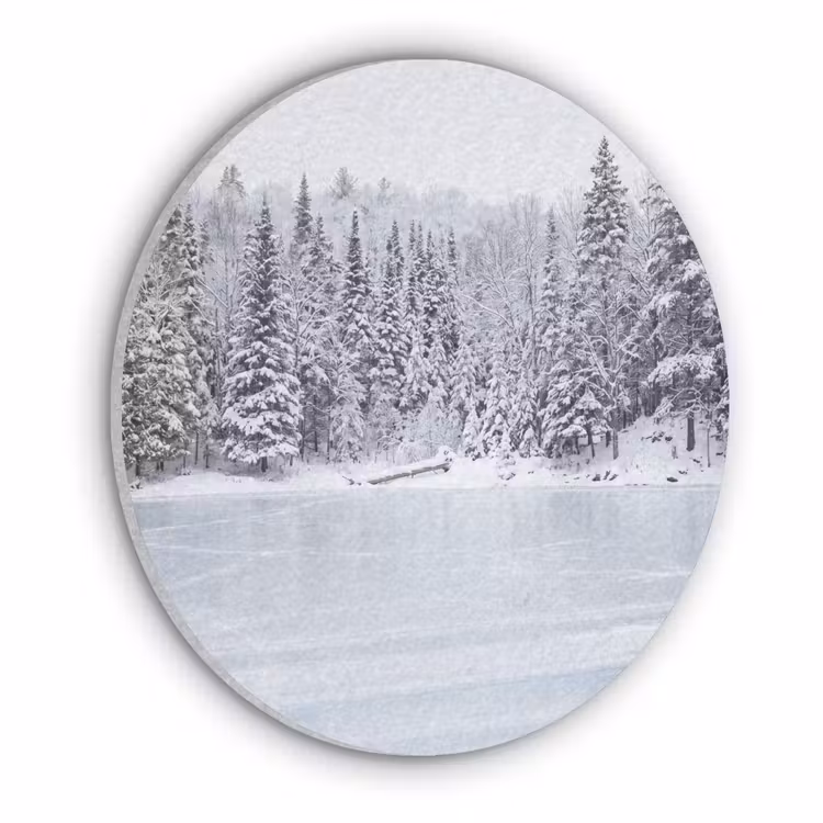 Meer - Dennen - IJs - Winter - Rustgevend Akoestische PET Vilt - Rond klein -3d