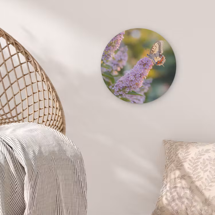 Sierlijke - Vlinder - Paarse - Bloemen Akoestische PET Vilt - Rond klein -sfeer4