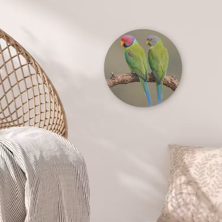 Papagaai - Tak - Natuur - Kleurrijk Akoestische PET Vilt - Rond klein -sfeer4