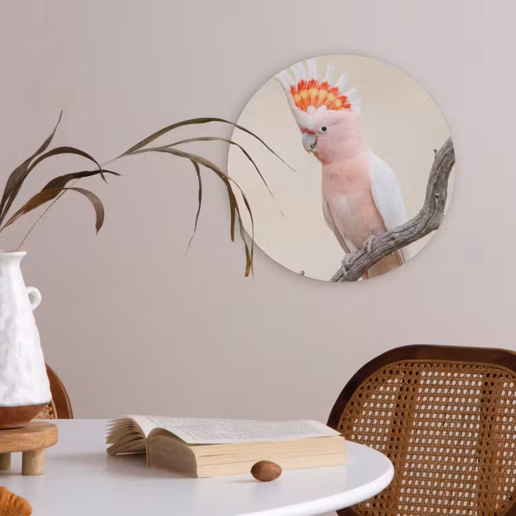 Papagaai - Tak - Roze Akoestische PET Vilt - Rond klein -sfeer3