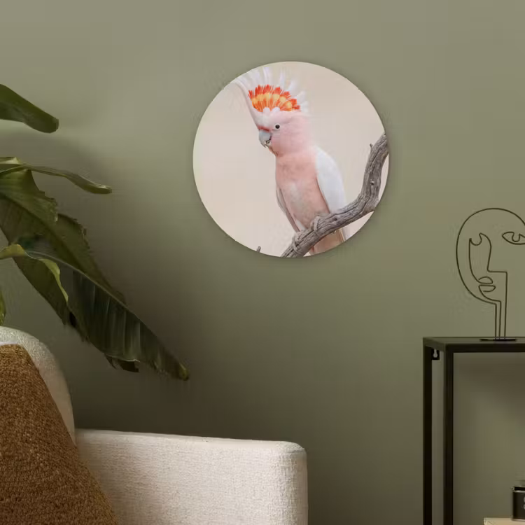 Papagaai - Tak - Roze Akoestische PET Vilt - Rond klein -sfeer2
