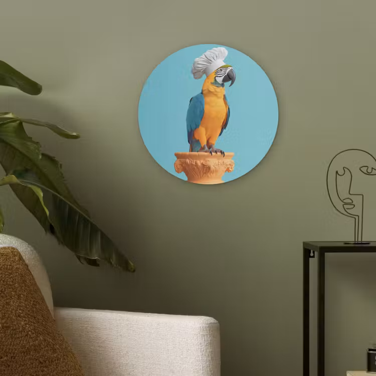 Papegaai - Koksmuts - Grappig - Vogel Akoestische PET Vilt - Rond klein -sfeer2