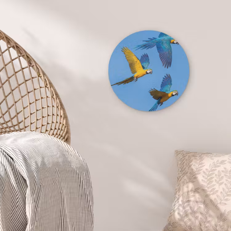 Papagaai - Vliegen - Blauw - Geel Akoestische PET Vilt - Rond klein -sfeer4