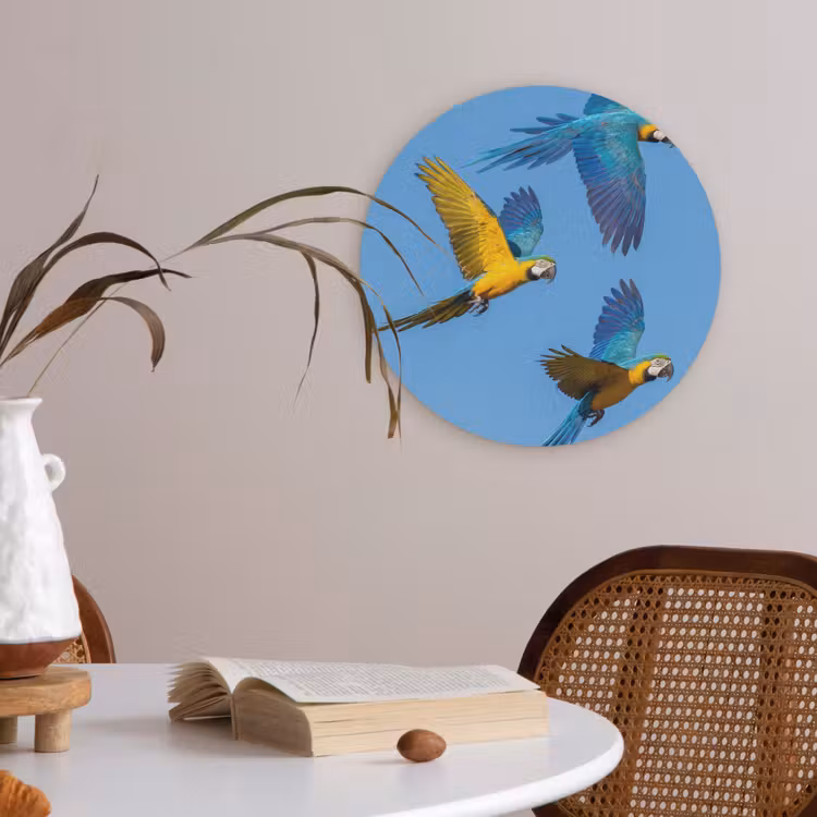 Papagaai - Vliegen - Blauw - Geel Akoestische PET Vilt - Rond klein -sfeer3