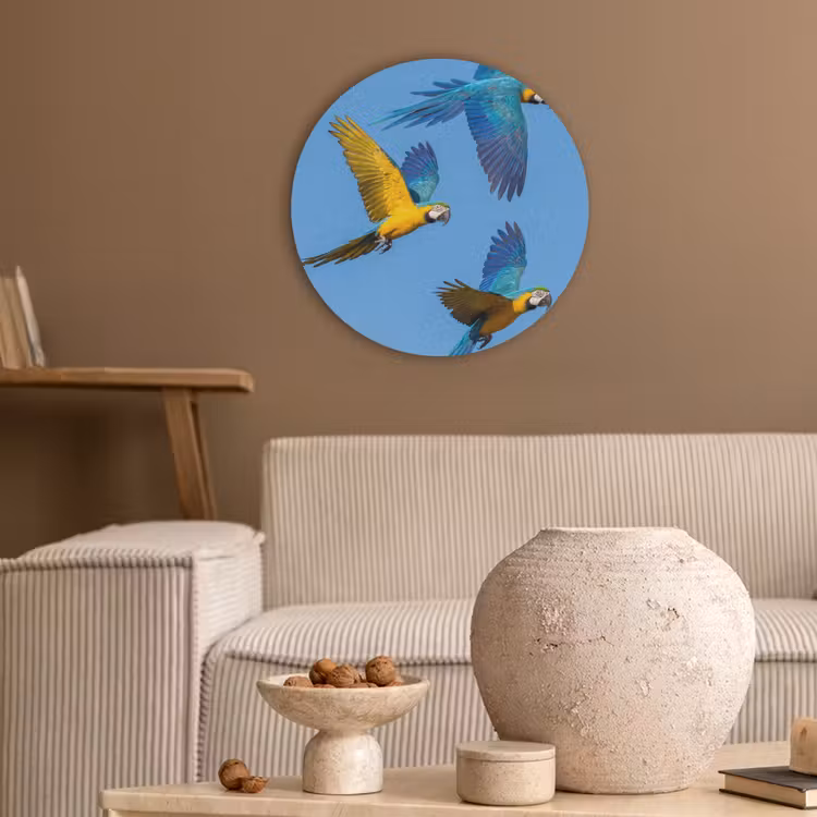 Papagaai - Vliegen - Blauw - Geel Akoestische PET Vilt - Rond klein -sfeer1