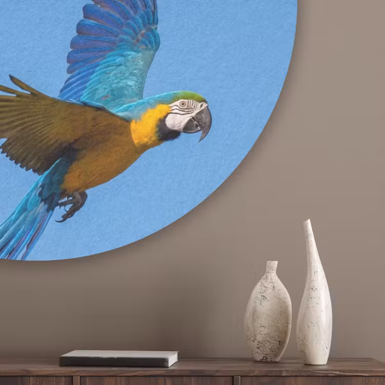 Papagaai - Vliegen - Blauw - Geel Akoestische PET Vilt - Rond klein -sfeer5_closeup