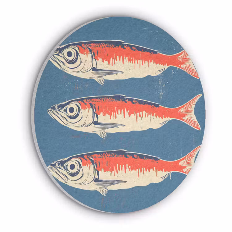 Vissen - Rood - Blauw Akoestische PET Vilt - Rond klein -3d