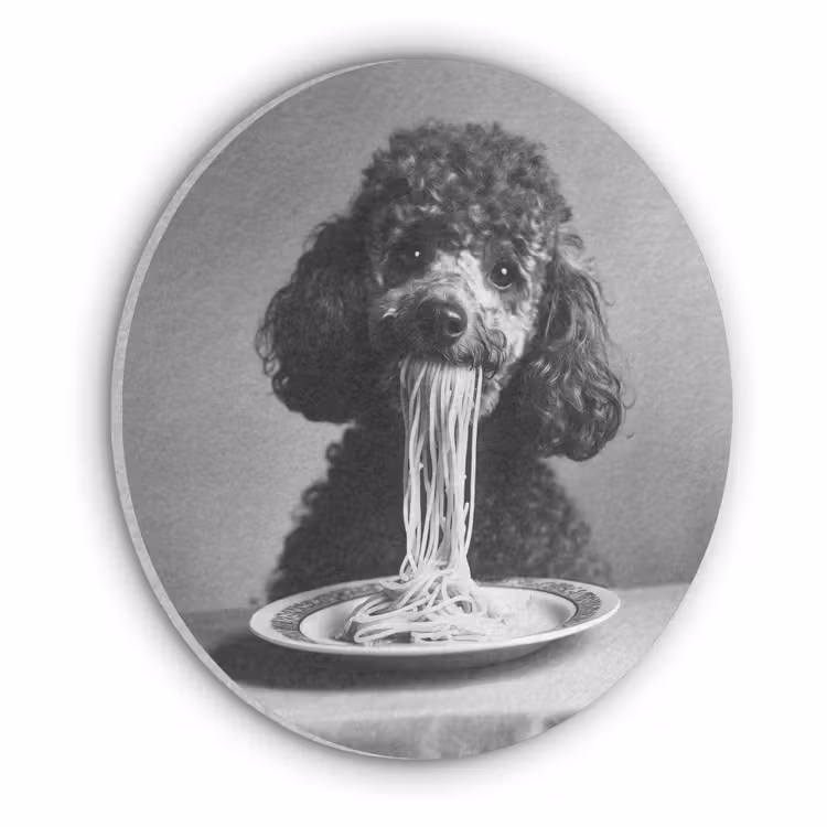 Poedel - Hond - Zwart - Wit - Schattig - Pasta Akoestische PET Vilt - Rond klein -3d