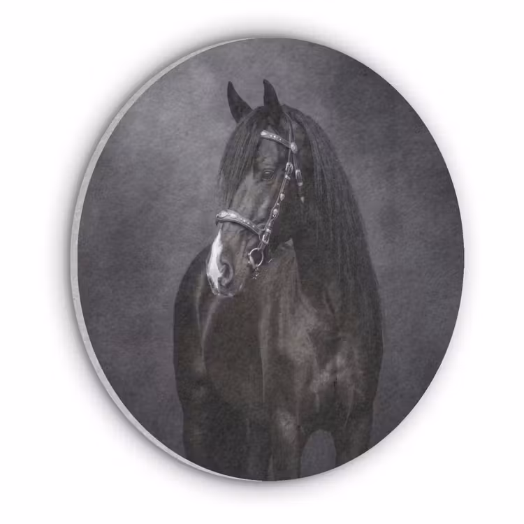 Portret - Paard - Zwart Akoestische PET Vilt - Rond klein -3d