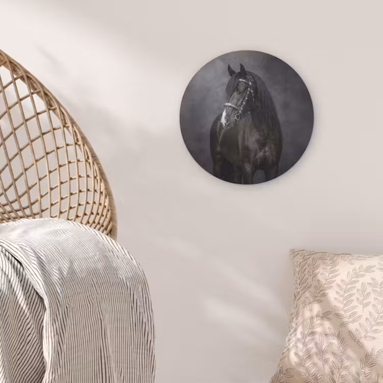 Portret - Paard - Zwart Akoestische PET Vilt - Rond klein -sfeer4
