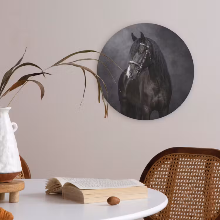 Portret - Paard - Zwart Akoestische PET Vilt - Rond klein -sfeer3