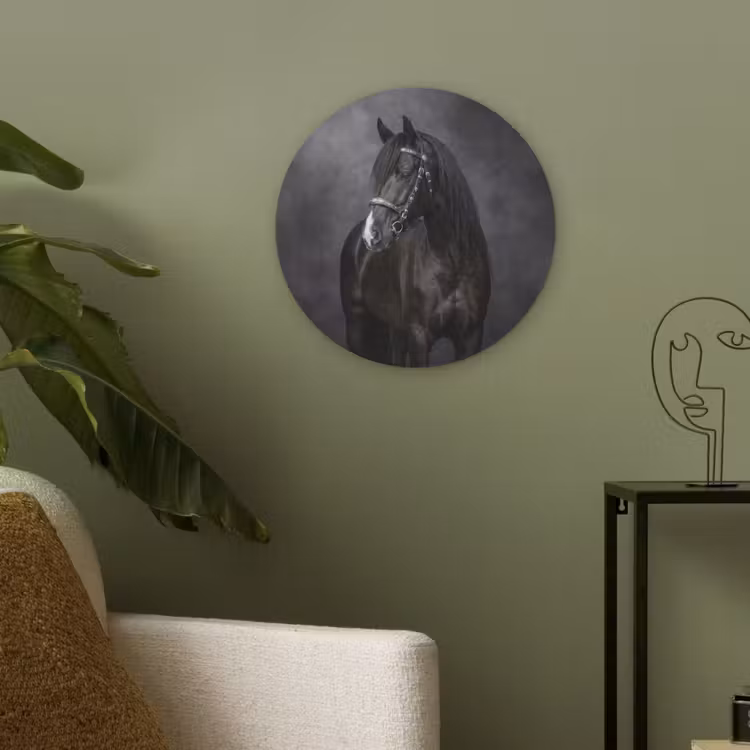 Portret - Paard - Zwart Akoestische PET Vilt - Rond klein -sfeer2