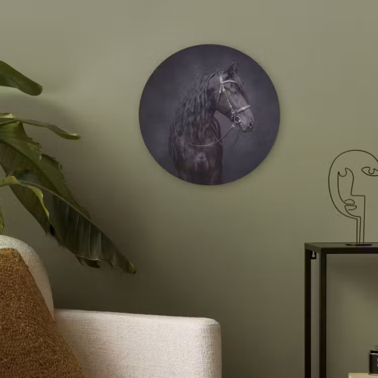 Portret - Paard - Donker Akoestische PET Vilt - Rond klein -sfeer2