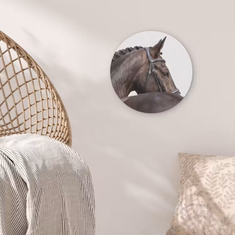 Portret - Paard - Elegant Akoestische PET Vilt - Rond klein -sfeer4