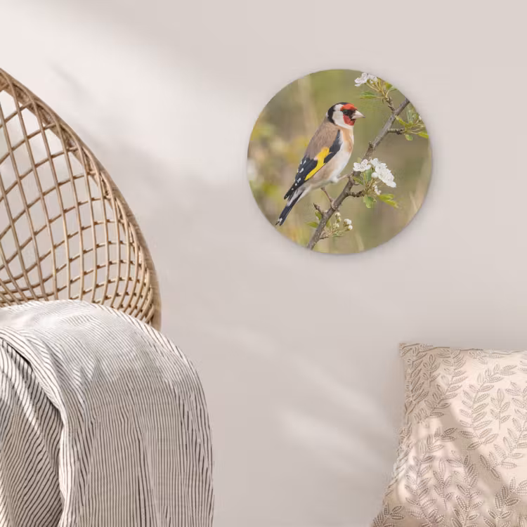Putter - Bloesem - Lente - Natuur - Kleurrijk Akoestische PET Vilt - Rond klein -sfeer4