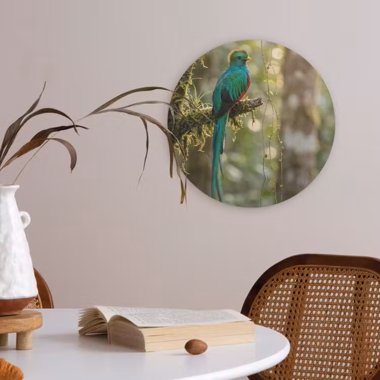 Quetzal - Jungle - Natuur - Groen Akoestische PET Vilt - Rond klein -sfeer3