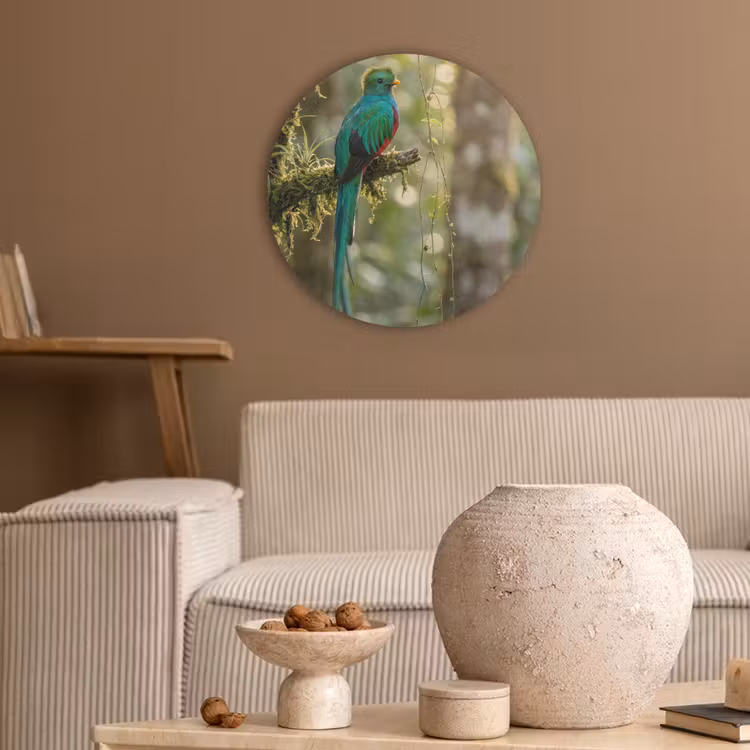 Quetzal - Jungle - Natuur - Groen Akoestische PET Vilt - Rond klein -sfeer1