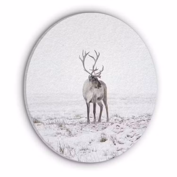 Rendier - Gewei - Sneeuw - Winter Akoestische PET Vilt - Rond klein -3d