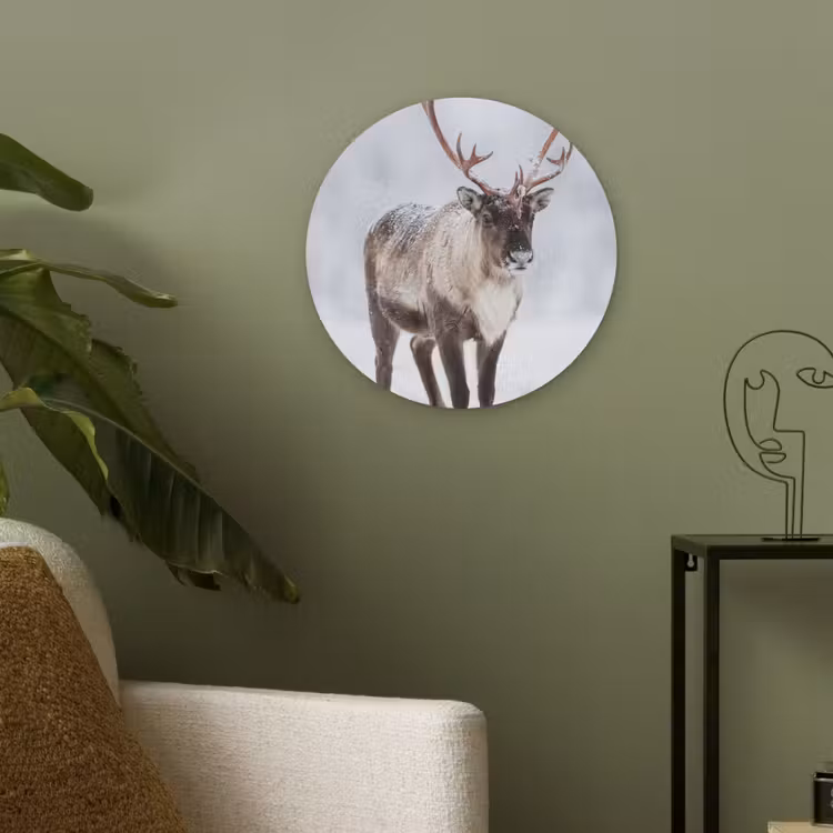 Rendier - Gewei - Toendra - Sneeuw - Wild Akoestische PET Vilt - Rond klein -sfeer2