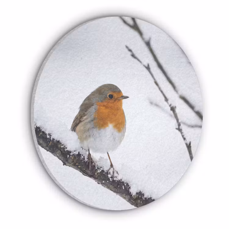 Roodborstje - Tak - Sneeuw - Winter - Levendig Akoestische PET Vilt - Rond klein -3d