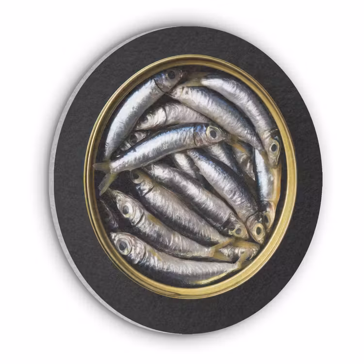Sardines - Vissen - Rond - Zwart Akoestische PET Vilt - Rond klein -3d