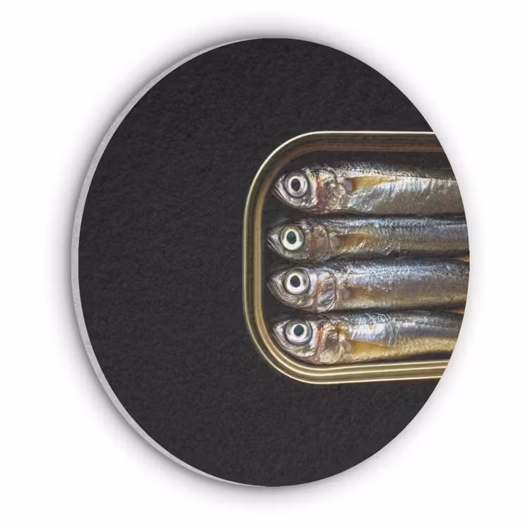 Sardines - Blik - Zwart - Vissen Akoestische PET Vilt - Rond klein -3d