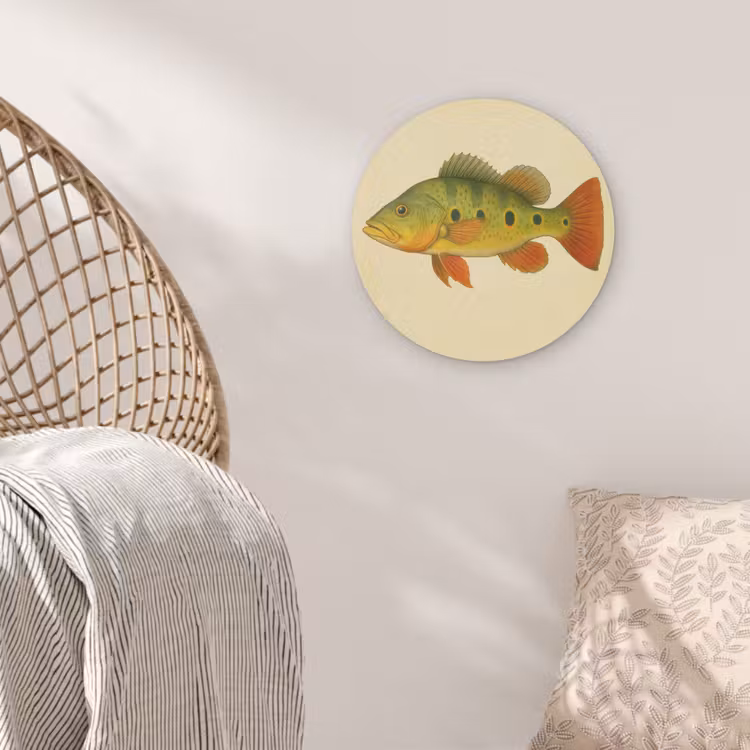 Schubben - Vis - Groen - Illustratie Akoestische PET Vilt - Rond klein -sfeer4