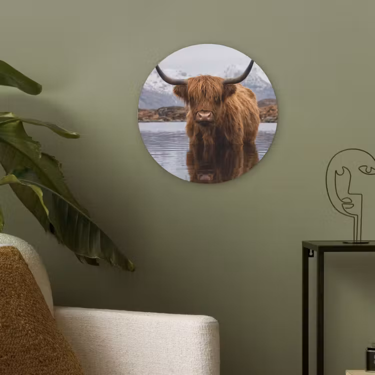 Schotse hooglander - Bruin - Water Akoestische PET Vilt - Rond klein -sfeer2