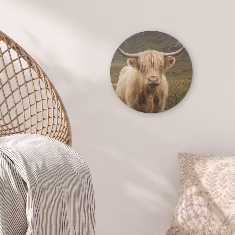 Schotse hooglander - Bergen - Grasveld Akoestische PET Vilt - Rond klein -sfeer4