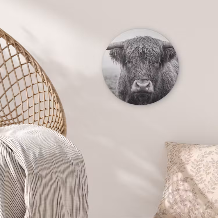 Schotse hooglander - Zwart - Wit - Gras Akoestische PET Vilt - Rond klein -sfeer4