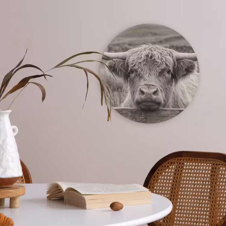 Schotse hooglander - Zwart - Wit - Hout Akoestische PET Vilt - Rond klein -sfeer3