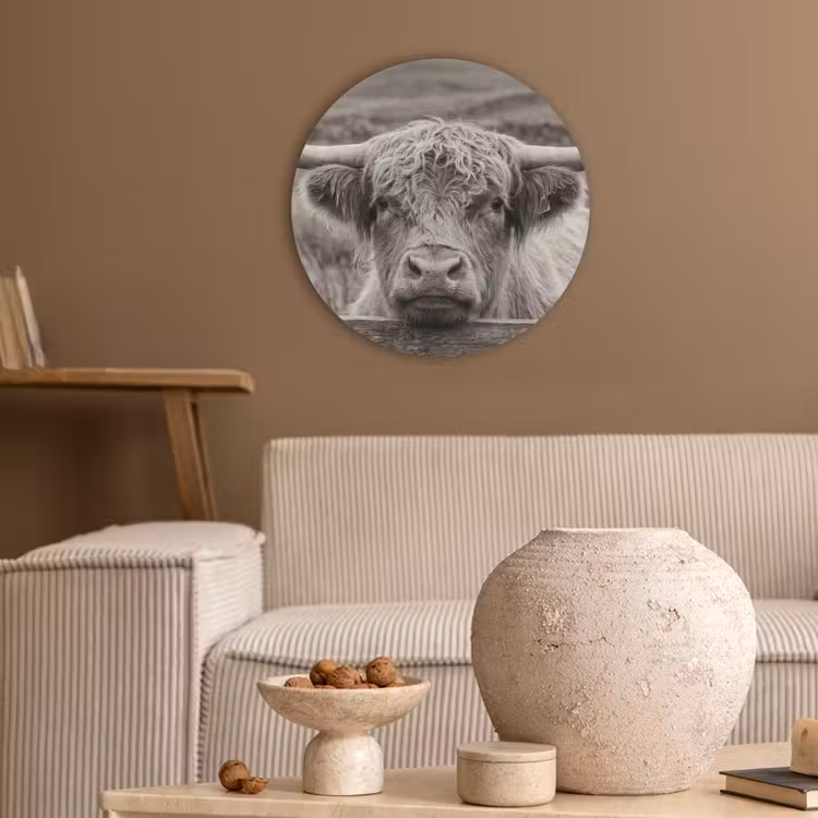 Schotse hooglander - Zwart - Wit - Hout Akoestische PET Vilt - Rond klein -sfeer1
