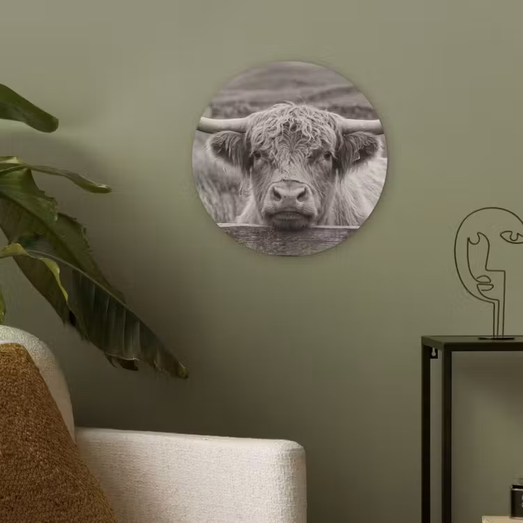 Schotse hooglander - Zwart - Wit - Hout Akoestische PET Vilt - Rond klein -sfeer2