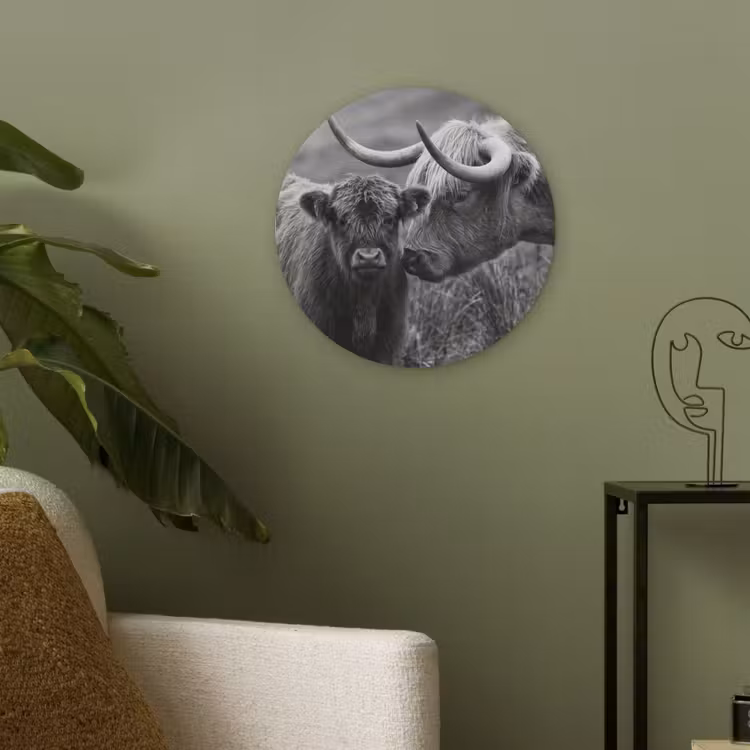 Schotse hooglander - Kalf - Zwart - Wit Akoestische PET Vilt - Rond klein -sfeer2