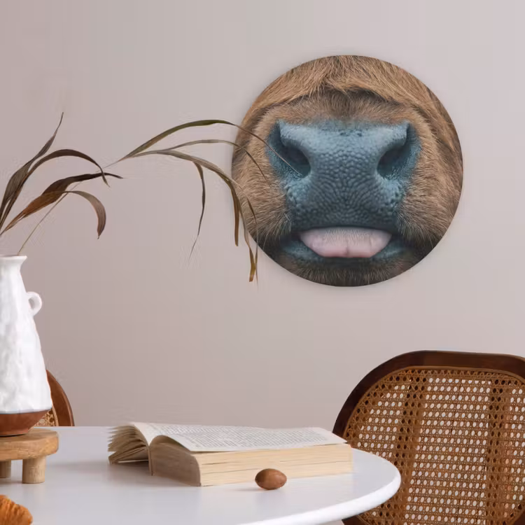 Schotse hooglander - Neus - Bruin Akoestische PET Vilt - Rond klein -sfeer3