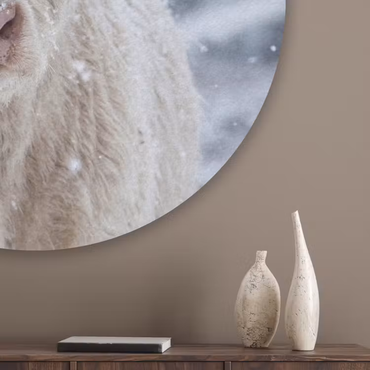 Schotse Hooglander - Sneeuw - Bergen - Winter Akoestische PET Vilt - Rond klein -sfeer5_closeup
