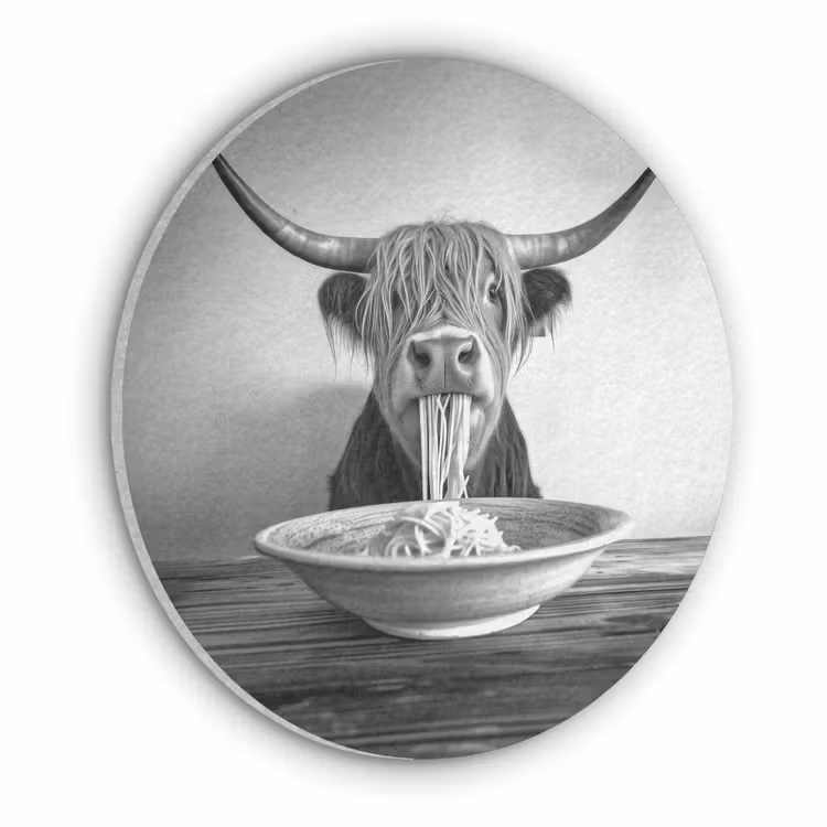 Schotse Hooglander - Spaghetti - Dieren - Zwart wit Akoestische PET Vilt - Rond klein -3d